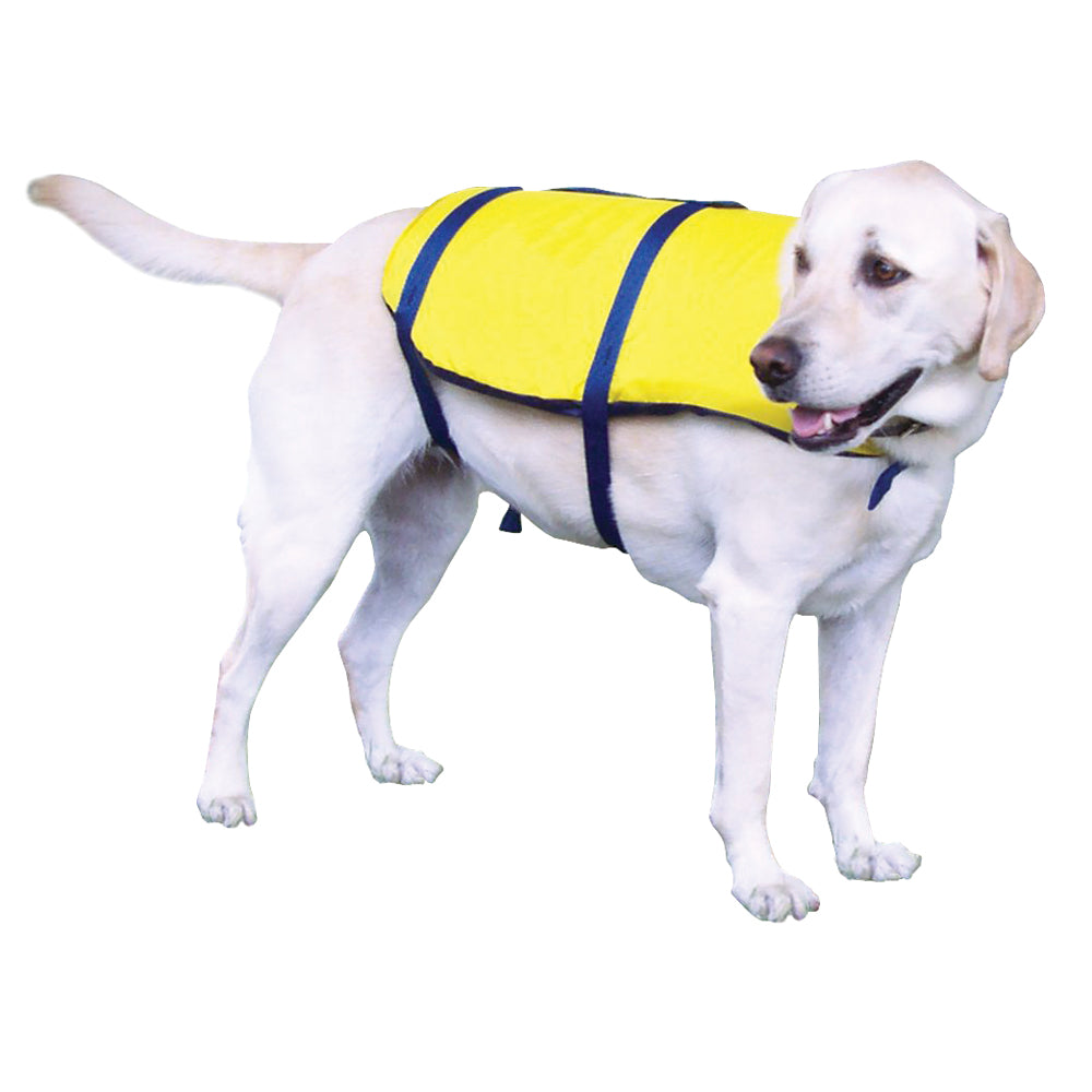 Outdoor - Pet Accessories