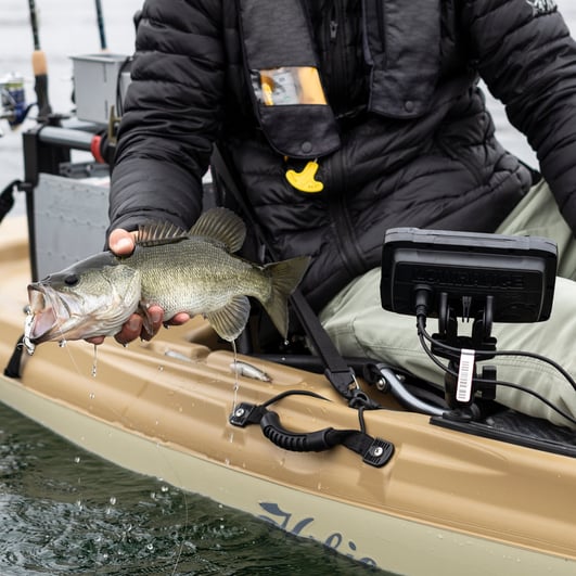 RAM Mount 1" Ball & Arm Hook2 - Hobie