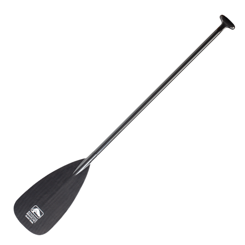 Black Pearl 11