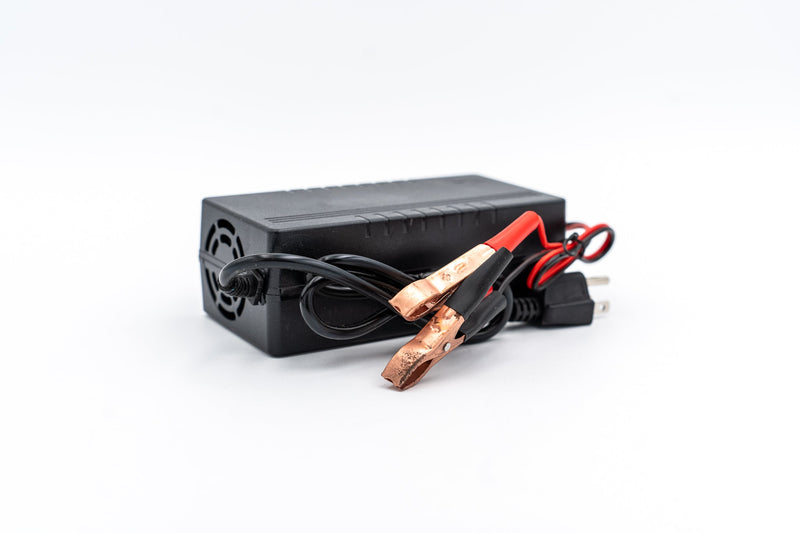 36v 4A Non Waterproof LiFePO4 Charger
