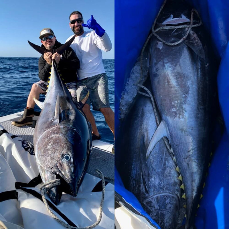 42" X 90" Insulated Kill Bag, Cow Tuna Edition