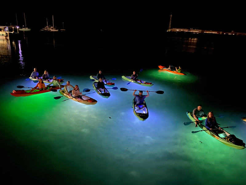 Spectrum P2 lighting system